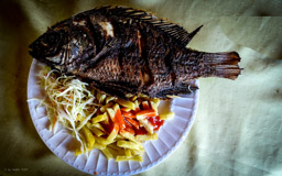 lecker  Tilapia-Fish